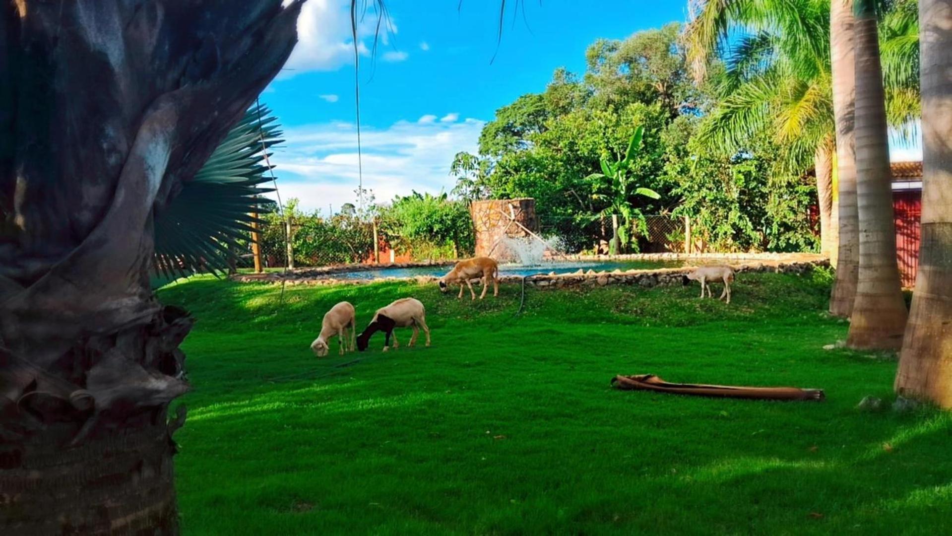 Pousada Cafe Da Roca Campos Gerais Eksteriør bilde