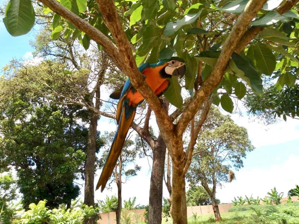 Pousada Cafe Da Roca Campos Gerais Eksteriør bilde